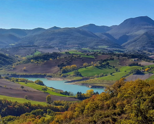 La cassetta degli attrezzi del manager - network advisory