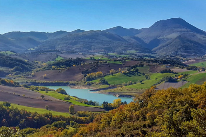 La cassetta degli attrezzi del manager - network advisory